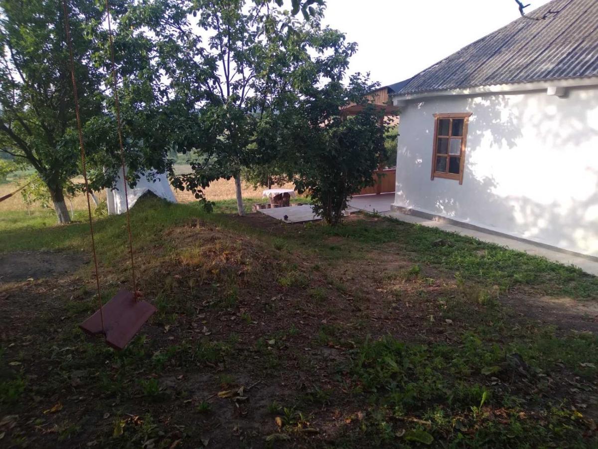 Willa Соколине Гніздо Dmitrenki Zewnętrze zdjęcie
